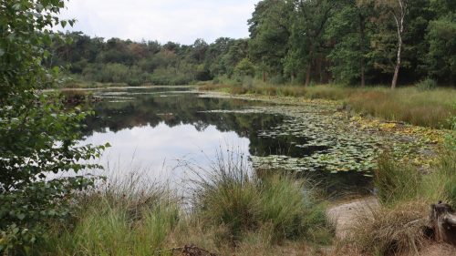 Oisterwijk busuitstap 23/8/2026