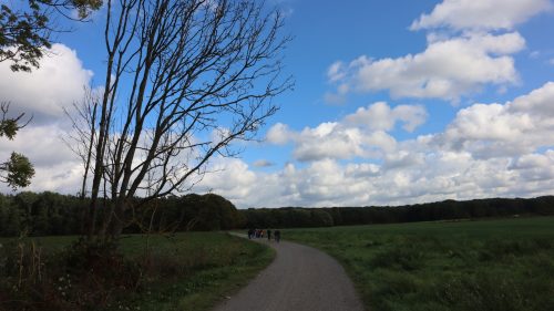 Schiplaken namiddagwandeling 10/10/2026