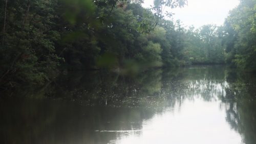 Walem avondwandeling 28/8/2026